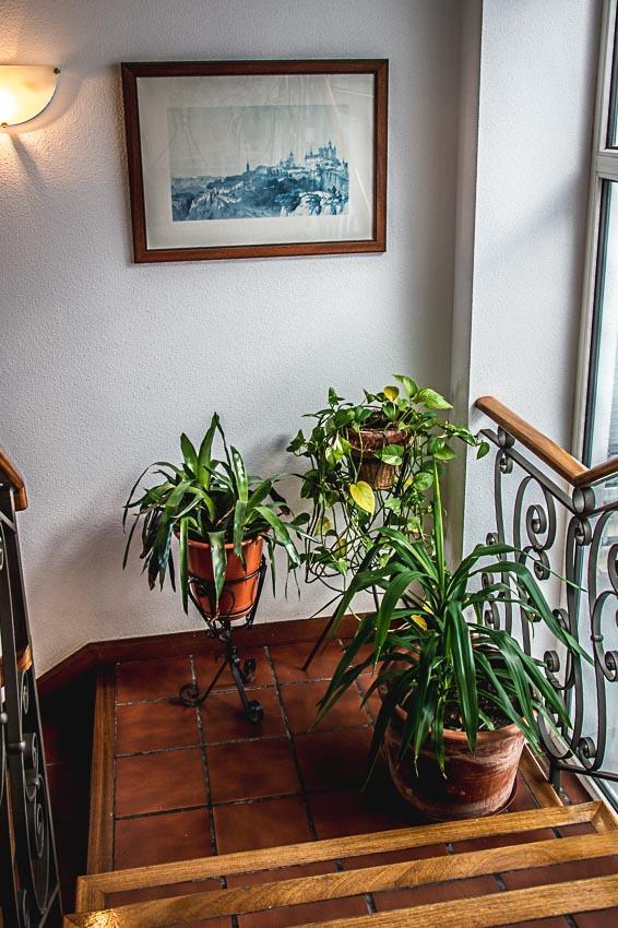 Hostal Goya II Carbonero el Mayor Extérieur photo