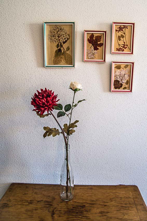 Hostal Goya II Carbonero el Mayor Extérieur photo